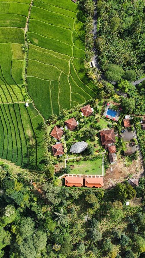 Отель Sava Eco Retreat Padangan  Экстерьер фото